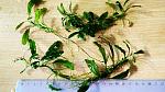     
: IMG_20201030_142410.jpg
: 41
:	148.4 
ID:	13417786