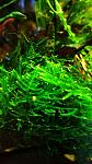     
: IMG_20201030_161308.jpg
: 45
:	97.1 
ID:	13417801
