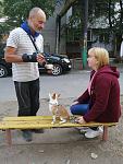     
: IMG_20200923_150417.jpg
: 36
:	129.2 
ID:	13418587