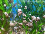     
: IMG_20201103.jpg
: 49
:	128.4 
ID:	13420158