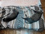     
: IMG_20190920_080845.jpg
: 80
:	169.2 
ID:	13421302