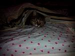     
: IMG_20191125_081158.jpg
: 77
:	94.4 
ID:	13421303
