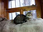     
: IMG_20191225_115827.jpg
: 75
:	103.5 
ID:	13421304