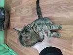     
: 20201014_112750.jpg
: 18
:	125.4 
ID:	13422002