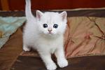     
: 34bc25 (1).jpg
: 18
:	25.7 
ID:	13422527