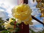     
: 20201107_122417.jpg
: 18
:	99.6 
ID:	13422886