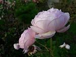     
: 20201107_123153.jpg
: 14
:	82.2 
ID:	13422888