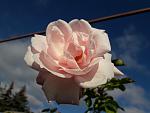     
: 20201107_123307.jpg
: 16
:	68.9 
ID:	13422889