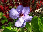     
: 20201107_123647.jpg
: 15
:	148.1 
ID:	13422890