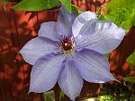    
: 20201107_123657.jpg
: 16
:	112.4 
ID:	13422891