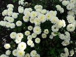     
: 20201107_123852.jpg
: 22
:	177.4 
ID:	13422892