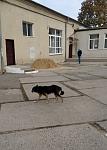     
: IMG_20201112_120851.jpg
: 252
:	93.5 
ID:	13423258