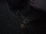     
: 8D7A8E35-E243-4281-9522-E0470541269A.jpg
: 36
:	31.9 
ID:	13423326