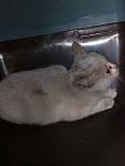     
: IMG_20201113_084800.jpg
: 16
:	45.9 
ID:	13423650