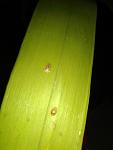     
: IMG_20201114_102846.jpg
: 33
:	48.2 
ID:	13424057