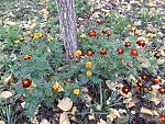     
: 20201114_133458.jpg
: 13
:	307.8 
ID:	13426091