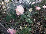     
: 20201115_120422.jpg
: 15
:	175.6 
ID:	13426097