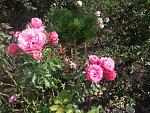     
: 20201115_120601.jpg
: 13
:	214.7 
ID:	13426098