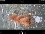     
: F1EB0925-BF3C-454D-BEEE-EED66F5C23B7.jpg
: 15
:	60.3 
ID:	13426530