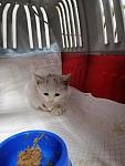     
: IMG-f9282dc365406624c3a1c9bbc9b3b544-V.jpg
: 15
:	70.5 
ID:	13426919