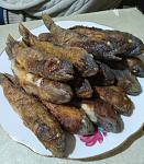     
: IMG_20201121_180228.jpg
: 32
:	121.2 
ID:	13427047