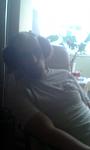     
: 20201024_103456.jpg
: 24
:	54.9 
ID:	13427181