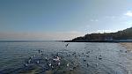     
: P_20201122_131836.jpg
: 15
:	111.1 
ID:	13427460