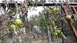    
: 20201122_120204.jpg
: 13
:	227.2 
ID:	13427983