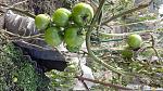     
: 20201122_120111.jpg
: 9
:	214.8 
ID:	13427986