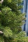     
: IMG_20201126_074010_323.jpg
: 14
:	31.2 
ID:	13428440
