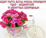     
: new-card-285001.jpg
: 10
:	34.1 
ID:	13428471