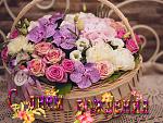    
: 1543480827_19.jpg
: 10
:	92.8 
ID:	13428570