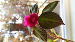     
: IMG_20201127_110734.jpg
: 16
:	75.3 
ID:	13428835
