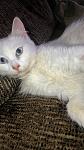     
: IMG-f929cb90c179412e65250625b16b09f9-V.jpg
: 11
:	83.3 
ID:	13430779