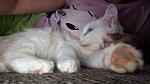     
: IMG-4ab52065340ff75d429e75f86ef9457a-V.jpg
: 14
:	75.4 
ID:	13430780