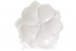    
: 727_133.jpg
: 16
:	49.9 
ID:	13431196