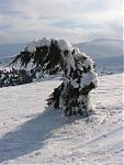     
: IMG_0126.jpg
: 38
:	74.2 
ID:	134318