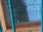     
: 20201208_083906.jpg
: 34
:	101.1 
ID:	13432897