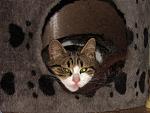     
: IMG_3250.jpg
: 12
:	163.9 
ID:	13433354