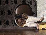     
: IMG_3271.jpg
: 17
:	135.2 
ID:	13433355