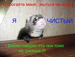     
: 1373564906_456266286.jpg
: 12
:	59.6 
ID:	13433668