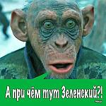    
: Ze.jpg
: 27
:	47.5 
ID:	13433732