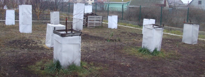     
: DSCF0888.JPG
: 26
:	123.9 
ID:	13435948