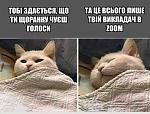     
: FB_IMG_1608156901987.jpg
: 7
:	40.7 
ID:	13435997