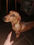     
: IMG-451e456f8be177d9f654fac61c20d75b-V.jpg
: 25
:	59.2 
ID:	13436598