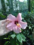     
: 150720131657.jpg
: 3
:	98.7 
ID:	13437533