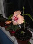     
: 12042012944.jpg
: 3
:	61.9 
ID:	13437534