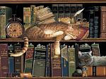     
: FB_IMG_1609460633274.jpg
: 16
:	128.1 
ID:	13439765