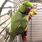     
: IMG_20210101_201030_050.jpg
: 11
:	79.2 
ID:	13439817