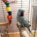     
: IMG_20210101_201030_053.jpg
: 11
:	111.2 
ID:	13439818